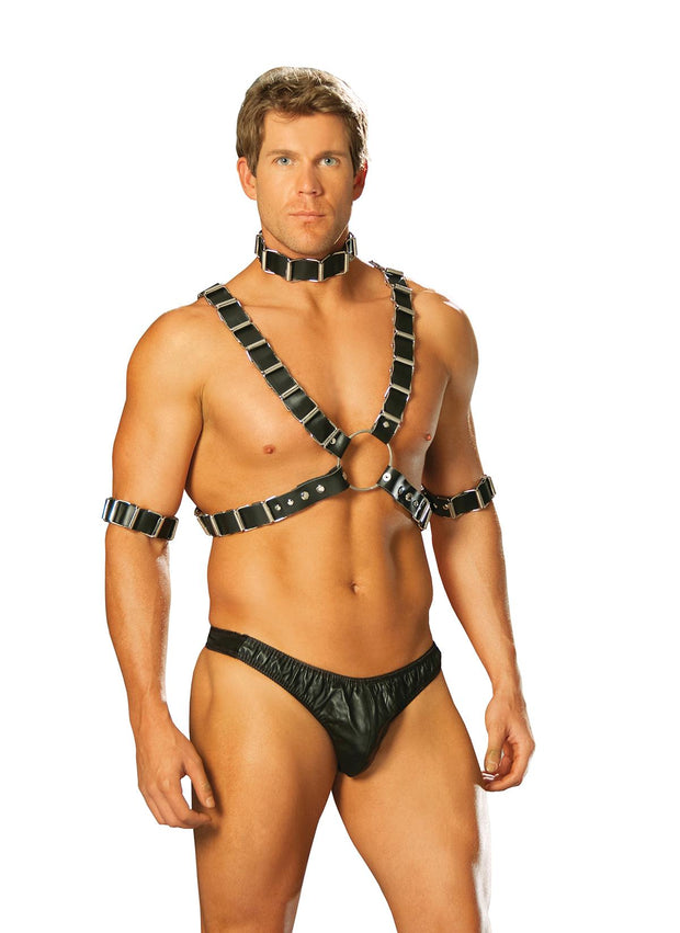 4 Pc Mens Set Harness & Collar - Spicy and Sexy