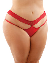 Bottoms Up Ren Microfiber Bikini Panty With Lace Waist (Plus Size) - Spicy and Sexy