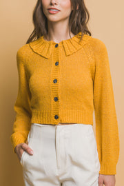 Short Collard Sweater