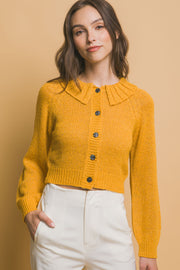 Short Collard Sweater