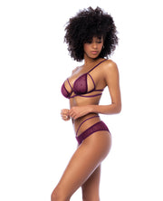 Dot Mesh Underwire Top With Open Back Panty - Wine