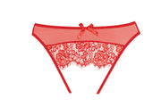 Exposé Sheer Mesh Crotchless Panty Red - Spicy and Sexy