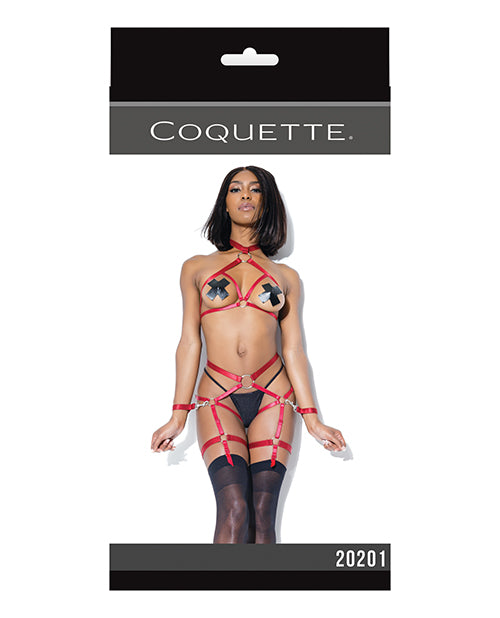 Play Darque Halter Top, Crotchless Panty, Garters & Restraints - Spicy and Sexy