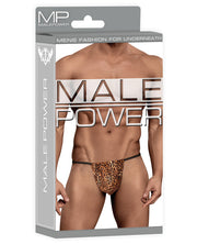 Male Power Posing Strap Thong Animal Print - Spicy and Sexy
