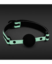 Glo Bondage Ball Gag - Glow In The Dark - Spicy and Sexy