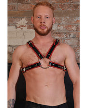 Rouge Chest Harness Large - Black-red - Spicy and Sexy