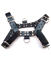 Rouge Over The Head Harness - Spicy and Sexy