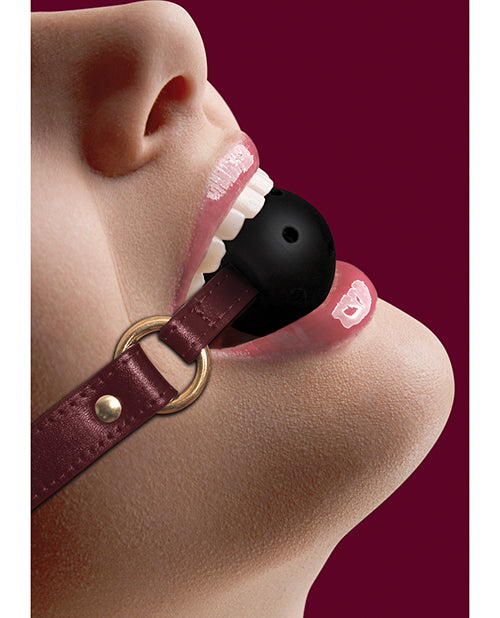 Shots Ouch Halo Breathable Ball Gag - Spicy and Sexy