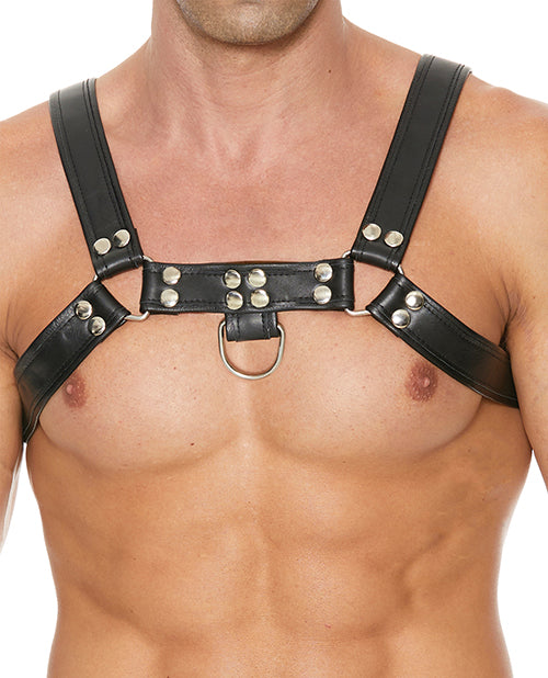Shots Uomo Chest Bulldog Harness Large-XLarge - Black - Spicy and Sexy