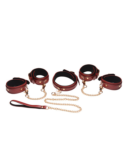Master Series 6 Pc Bondage Set - Burgundy - Spicy and Sexy